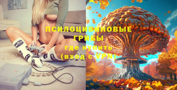 первитин Бородино