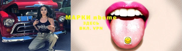 индика Верея