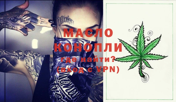 индика Верея