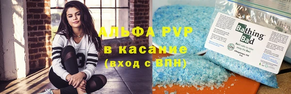 индика Верея