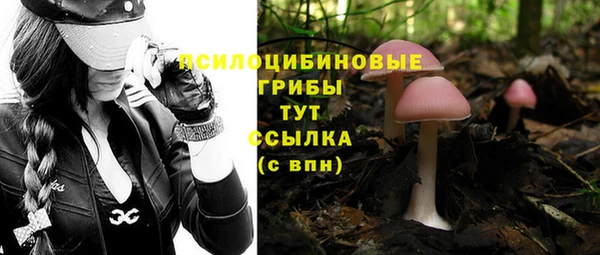 индика Верея