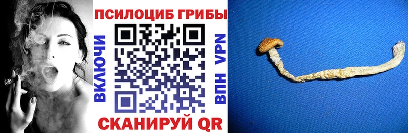 ОМГ ОМГ сайт  дарнет шоп  Изобильный  Псилоцибиновые грибы Cubensis 